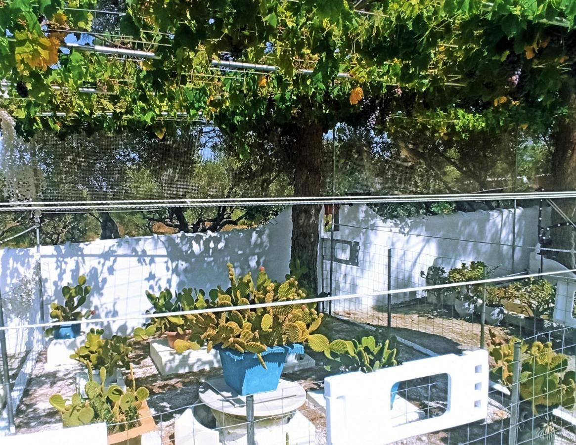 Villa Dina Chania  Exteriör bild